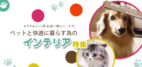 愛知 DIY＆リフォームショップREROOM【ペット特集 滑り止め】